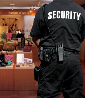 Diplomatic Treasury Reserve guard on duty in retail store